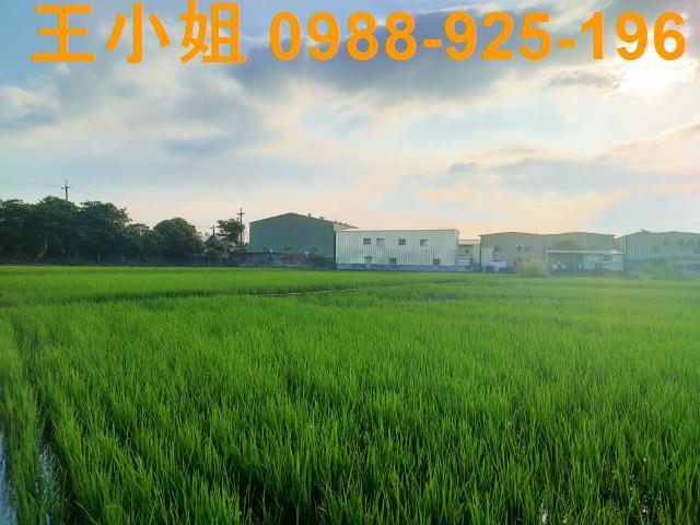 桃園八德農舍-7