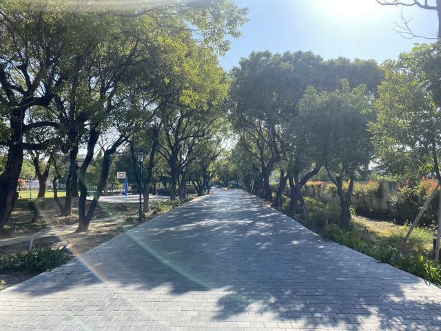 高雄路竹透天-2