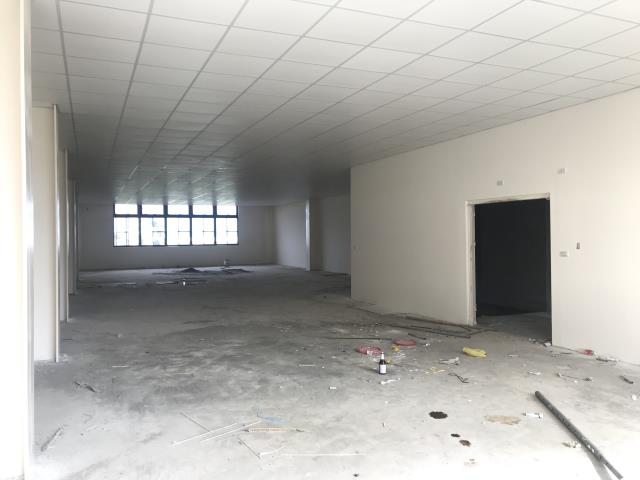 龜山廠房-1