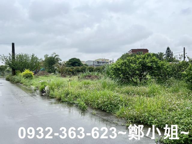桃園區農舍-3