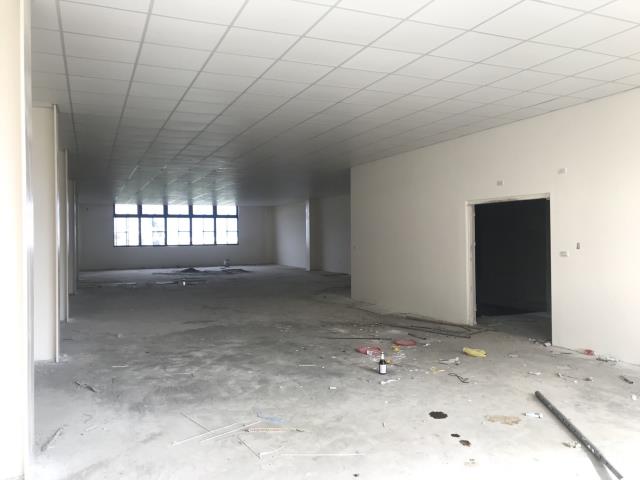 桃園龜山廠房-2