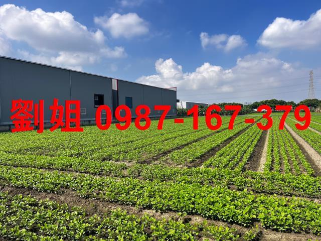 大寮廠房-1