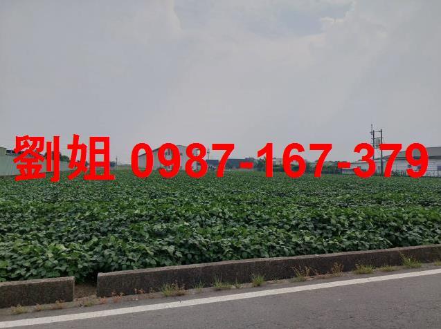 高雄大寮廠房-1