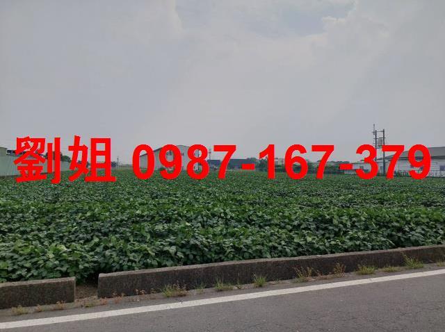高雄大寮廠房-1