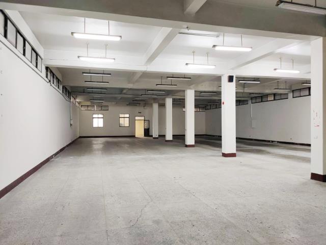 桃園八德廠房-3