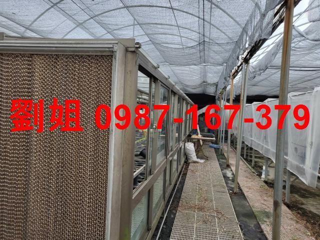 高雄仁武廠房-1