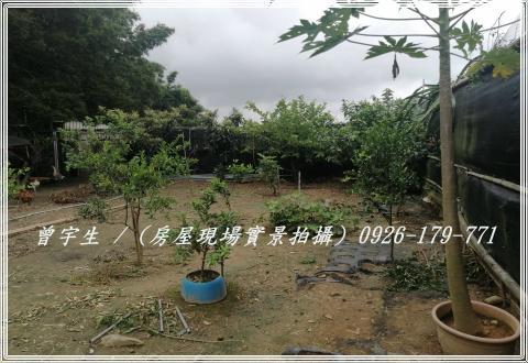 桃園農舍-11