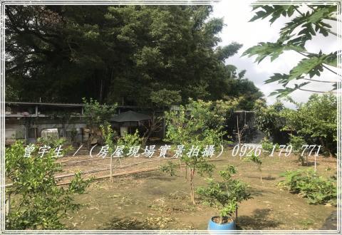 桃園農舍-15