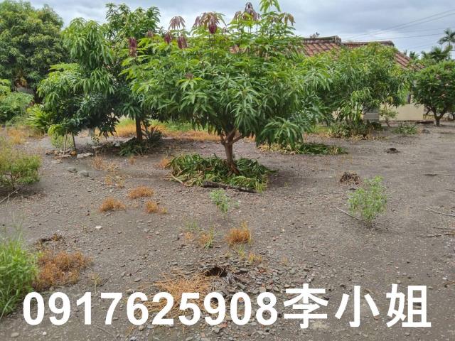 屏東佳冬透天-6