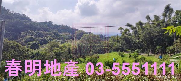 新竹新埔農舍-10