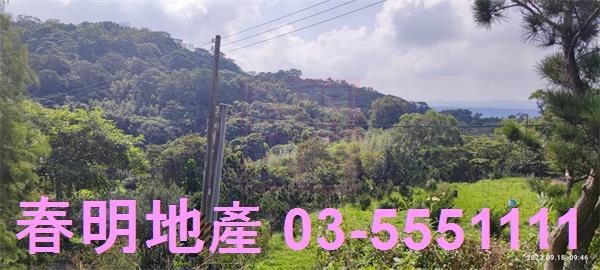 新竹新埔農舍-11