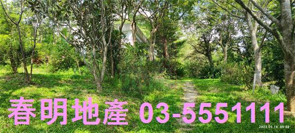 新竹新埔農舍-4