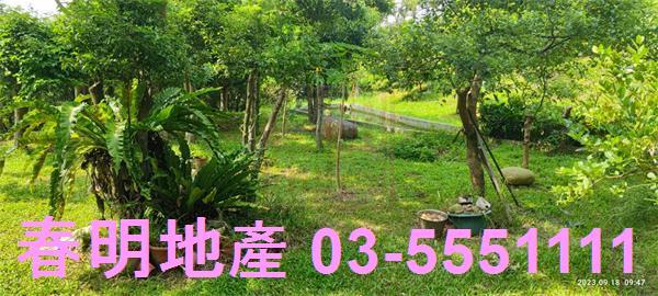 新竹新埔農舍-7