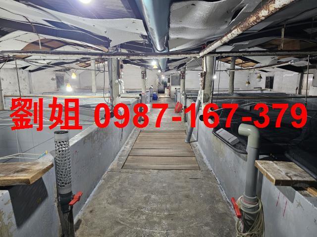 高雄林園廠房-1