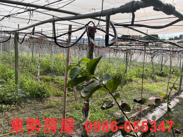 苗栗卓蘭透天-15