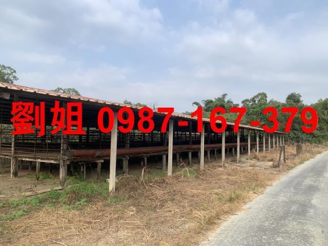 高雄仁武廠房-1