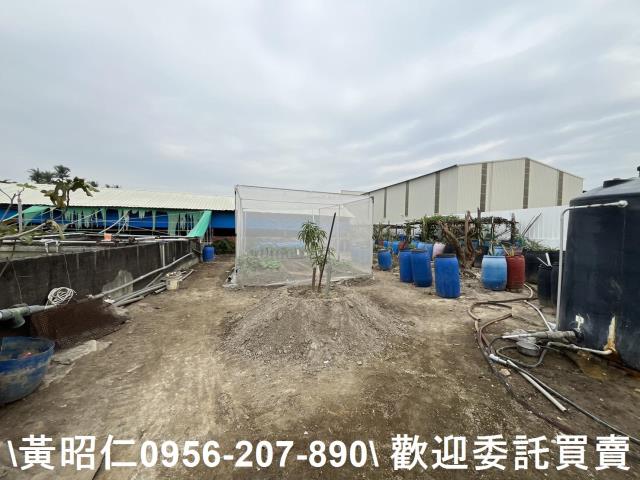 歸仁農舍-4