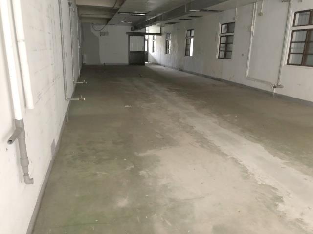 桃園區廠房-1