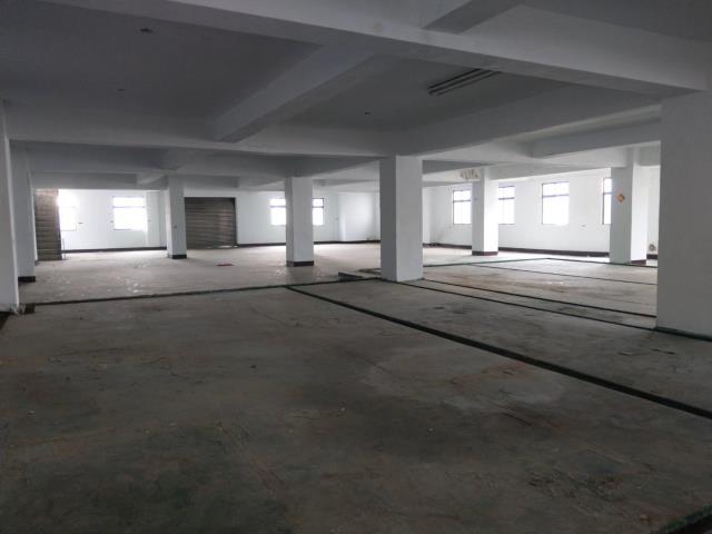 桃園區廠房-3