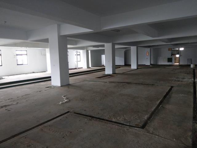 桃園區廠房-3