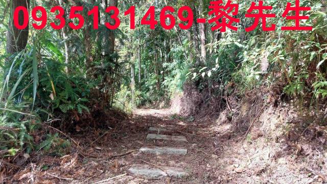 新竹橫山農舍-3