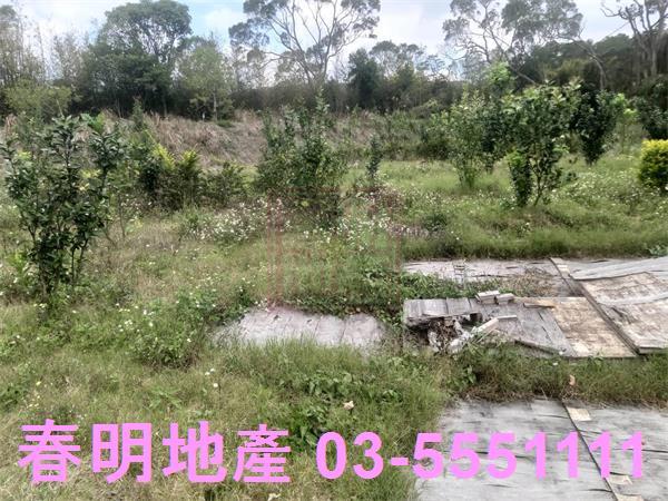新竹新埔農舍-10