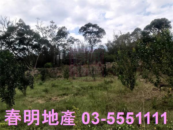 新竹新埔農舍-1