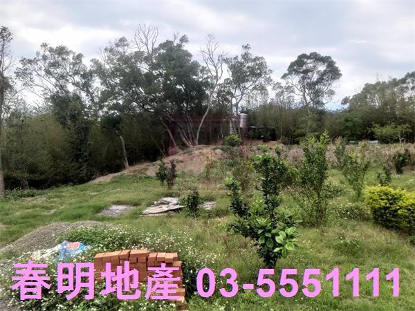 新竹新埔農舍-2