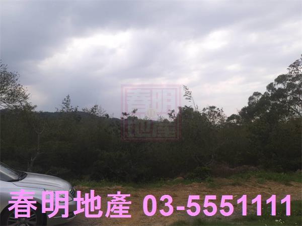 新竹新埔農舍-3