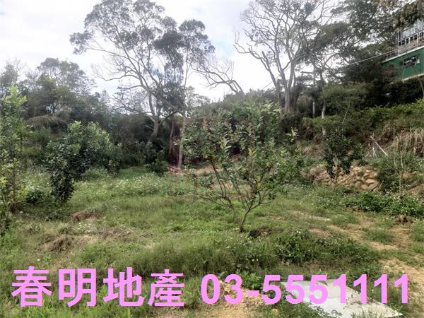 新竹新埔農舍-5