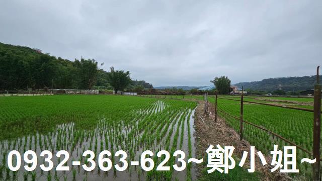 桃園農舍-4