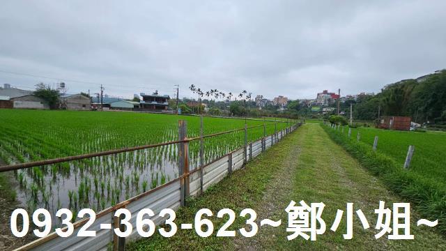 桃園農舍-5