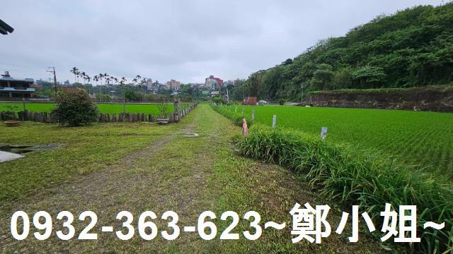 桃園農舍-6