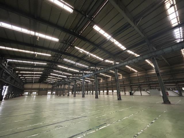 桃園大園廠房-1