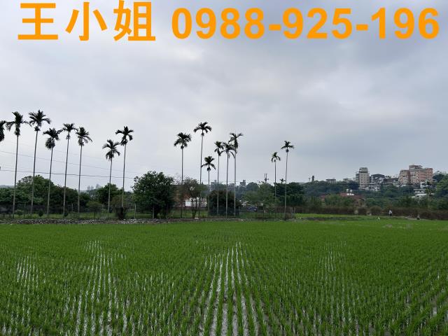 大溪透天-13