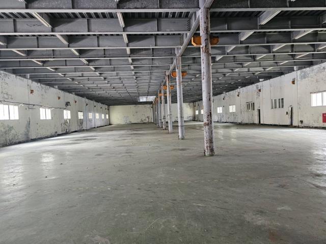 桃園蘆竹廠房-3