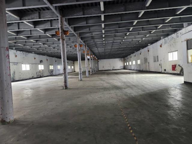 桃園蘆竹廠房-4