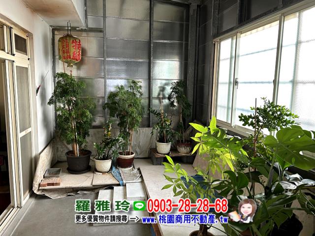 桃園大溪透天-4