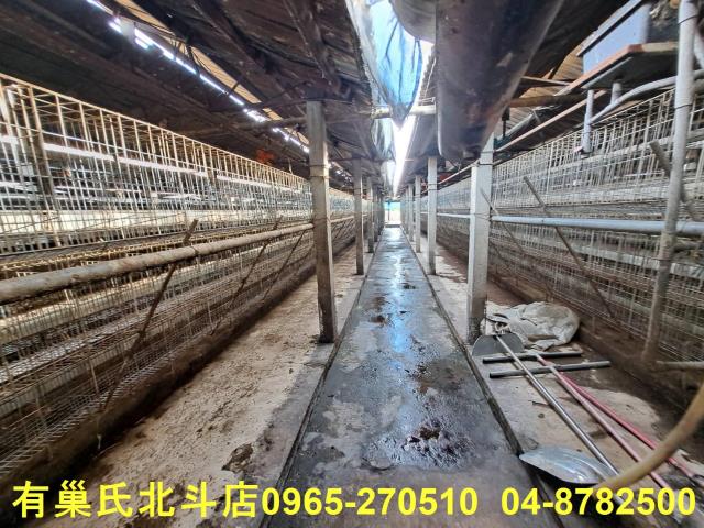 彰化北斗農舍-13