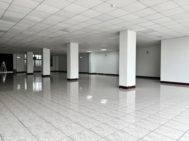 蘆竹廠房-2