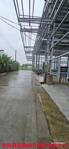 高雄大寮廠房-3
