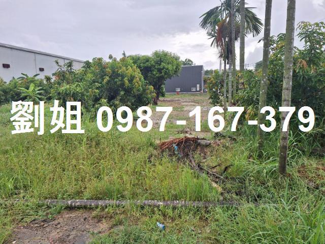 高雄鳥松廠房-1