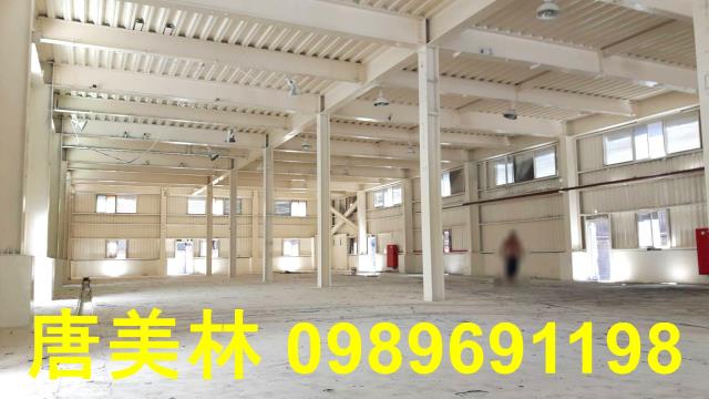 桃園大園廠房-1