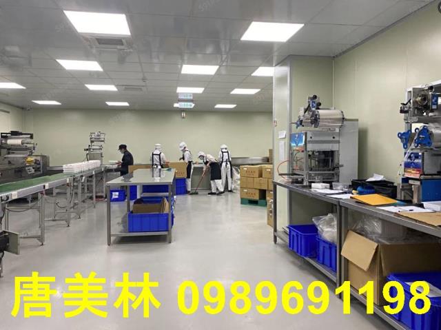 桃園大園廠房-4