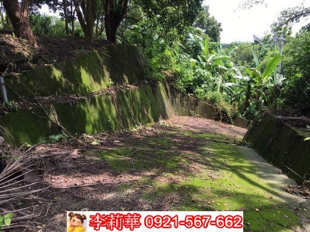 左鎮一樓-5