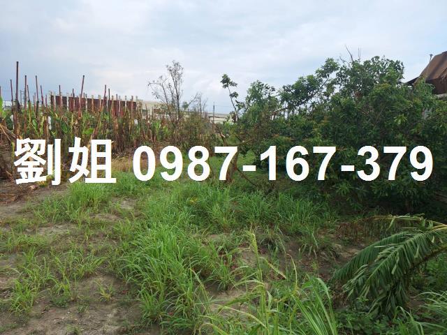 高雄大寮廠房-1