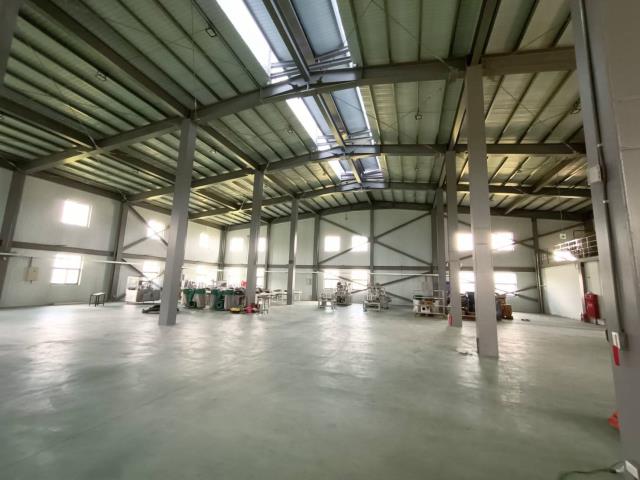 桃園龍潭廠房-4