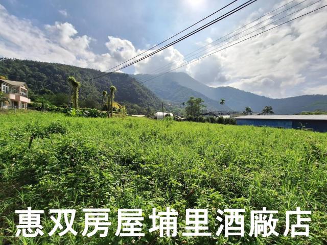 埔里透天-7