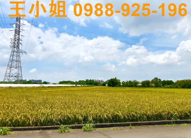 八德透天-6