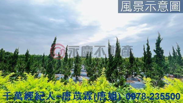新竹農舍-2